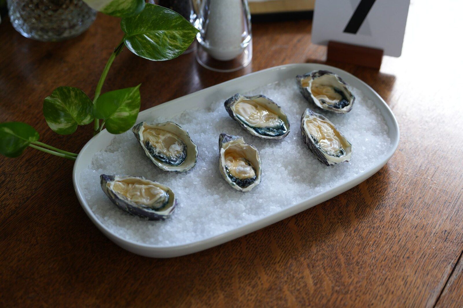 A hyperrealistic cake made to look like fresh oysters on ice